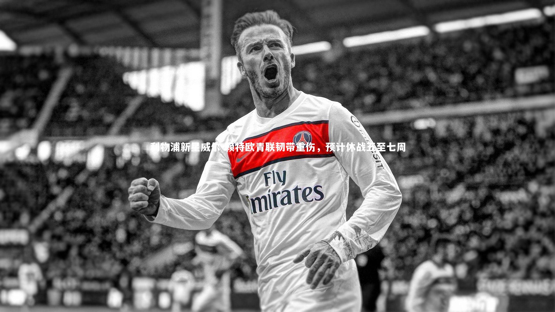 九游体育_利物浦新星威尔-赖特欧青联韧带重伤，预计休战五至七周