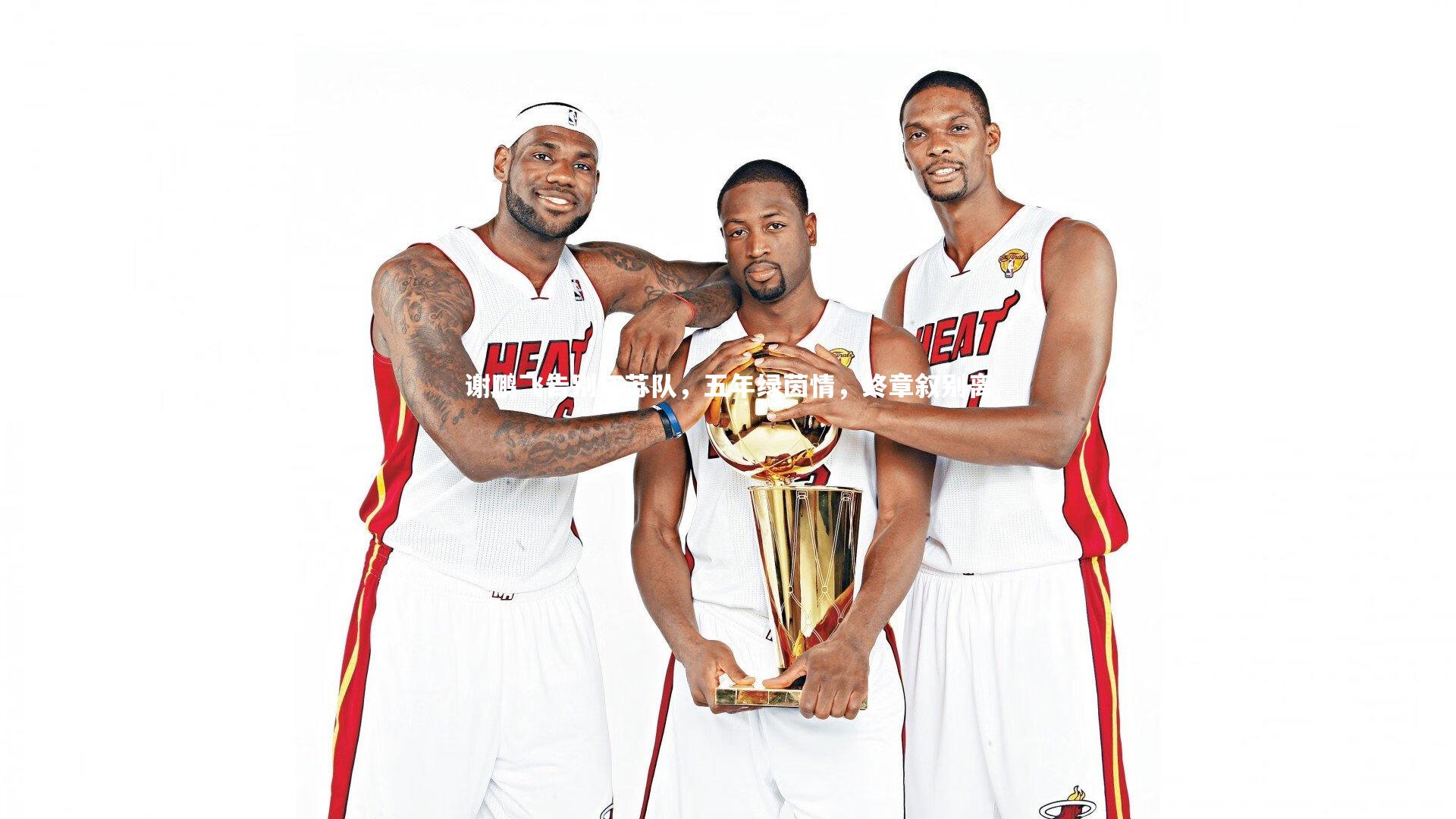 谢鹏飞告别江苏队,五年绿茵情,终章叙别离